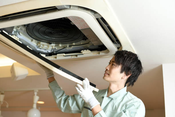 Best Affordable Duct Cleaning Services  in Carle Place, NY